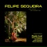 Felipe Sequeira feat. Paulo levi