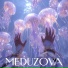 MEDUZOVA