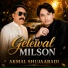 Akmal Shujaabadi