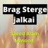 Saeed Alam masood