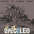 Specules