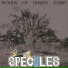 Specules