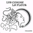 Lys comme la fleur