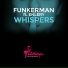 Funkerman feat. Enlery