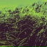 Vetaleg04