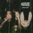 GNVS