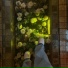 Daberu