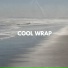Ice container, Chill pod, Frozen pouch