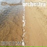 Эндорфин Orchestra