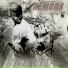 Remora