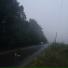 bazzynet
