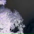 quanta2
