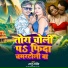Raju Ravindra