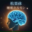 松果の体活性