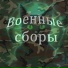 Кошачий Мозг