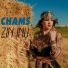 Chams