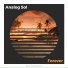 Analog Sol