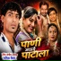 Satish Vishe