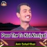 Amir Sohail Khan