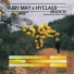 Ruby May, Hyclass
