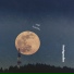 nytø