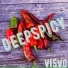 ViSVo