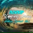 ANSP