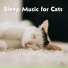 PetChords