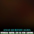Anas Qureshi Agha
