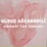 Ulduz Ağcabədili