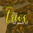 Trio Avileño