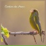 Sonidos De Pajaros