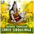Putturu Narasimha Nayak