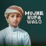 Shibli Noman