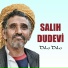 Salıh Dudevi