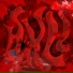 ARSXN