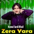 Kamal Sardi Khail