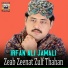 Irfan Ali Jamali