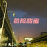 小宏帽red, Flase-z