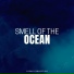 Ocean Sounds Plus