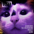 Jason Rivas, The Creeperfunk Project