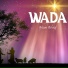 Anum Ashraf