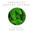 Immersive Nature Sounds