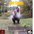 Ace Sanks