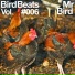 Mr Bird