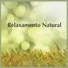 Notas de Relaxamento