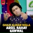 Adeel Rahat Qawwal