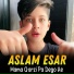 Aslam Esar