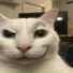 dreamsoda