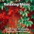 Calm Music, Relaxing Spa Music, Yoga